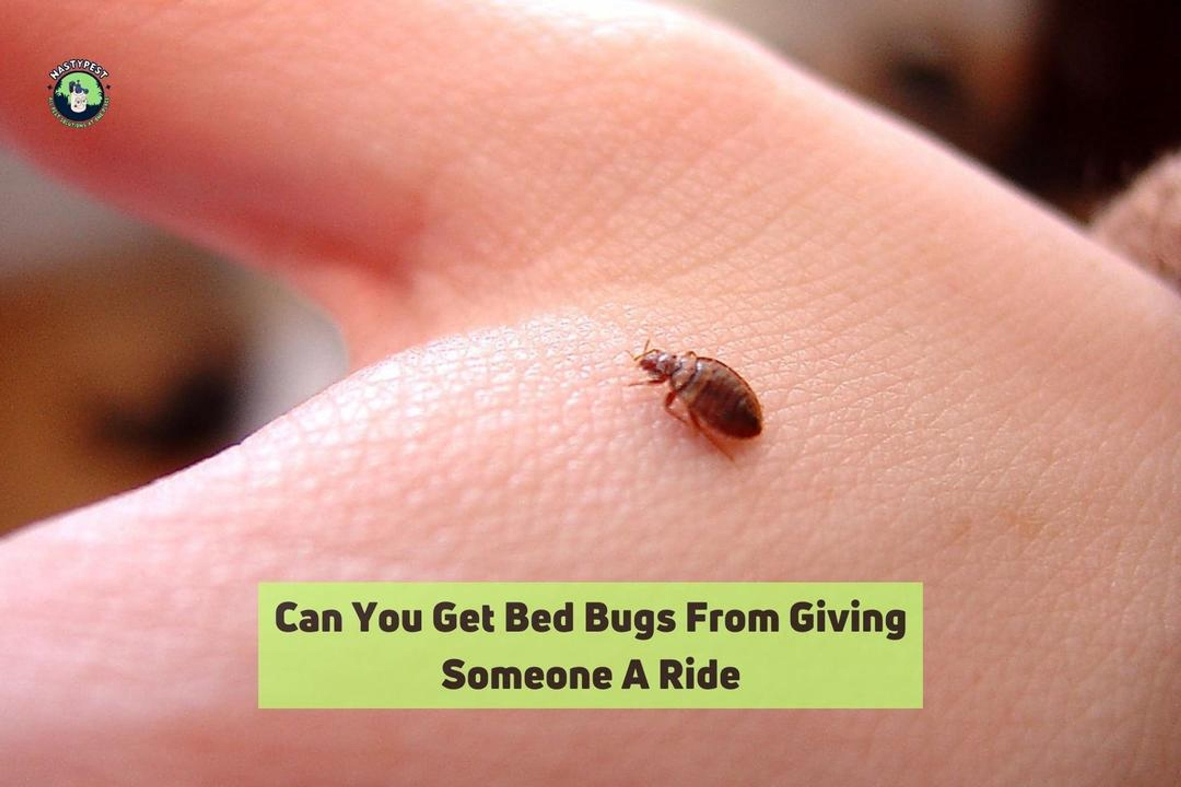 Can You Get Bed Bugs From Giving Someone A Ride?