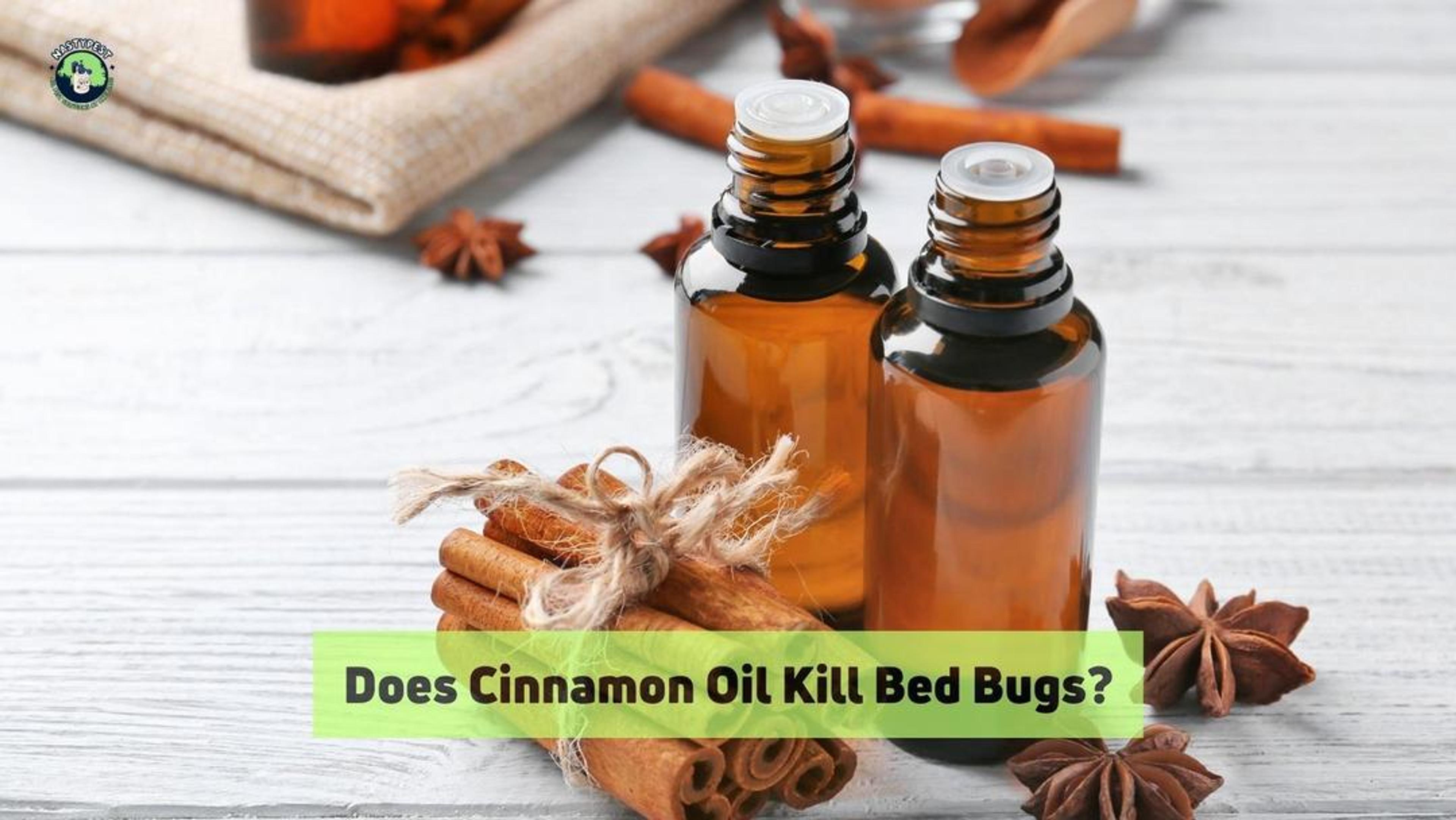 Does Cinnamon Oil Kill Bed Bugs