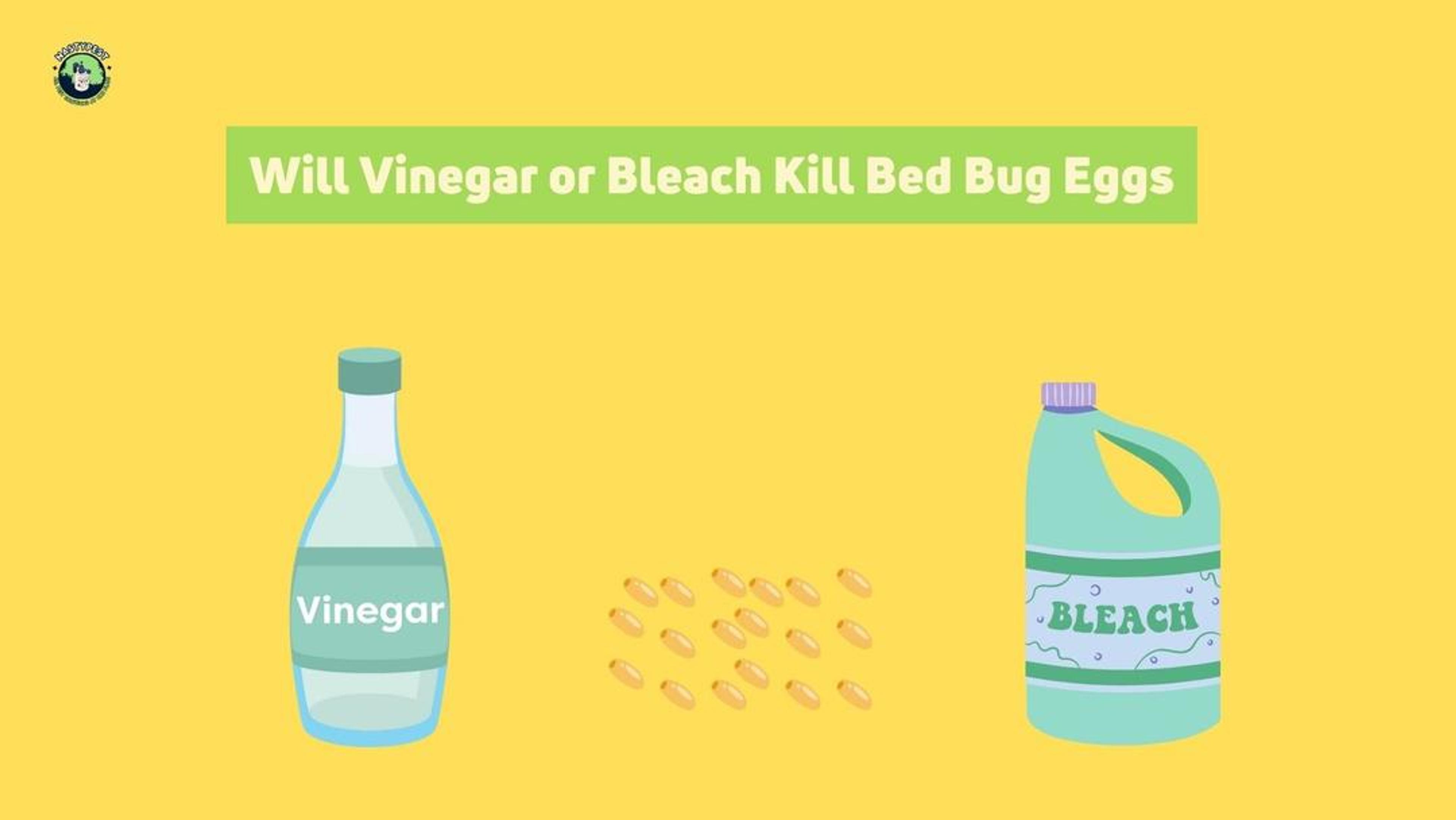 Will Vinegar or Bleach Kill Bed Bug Eggs