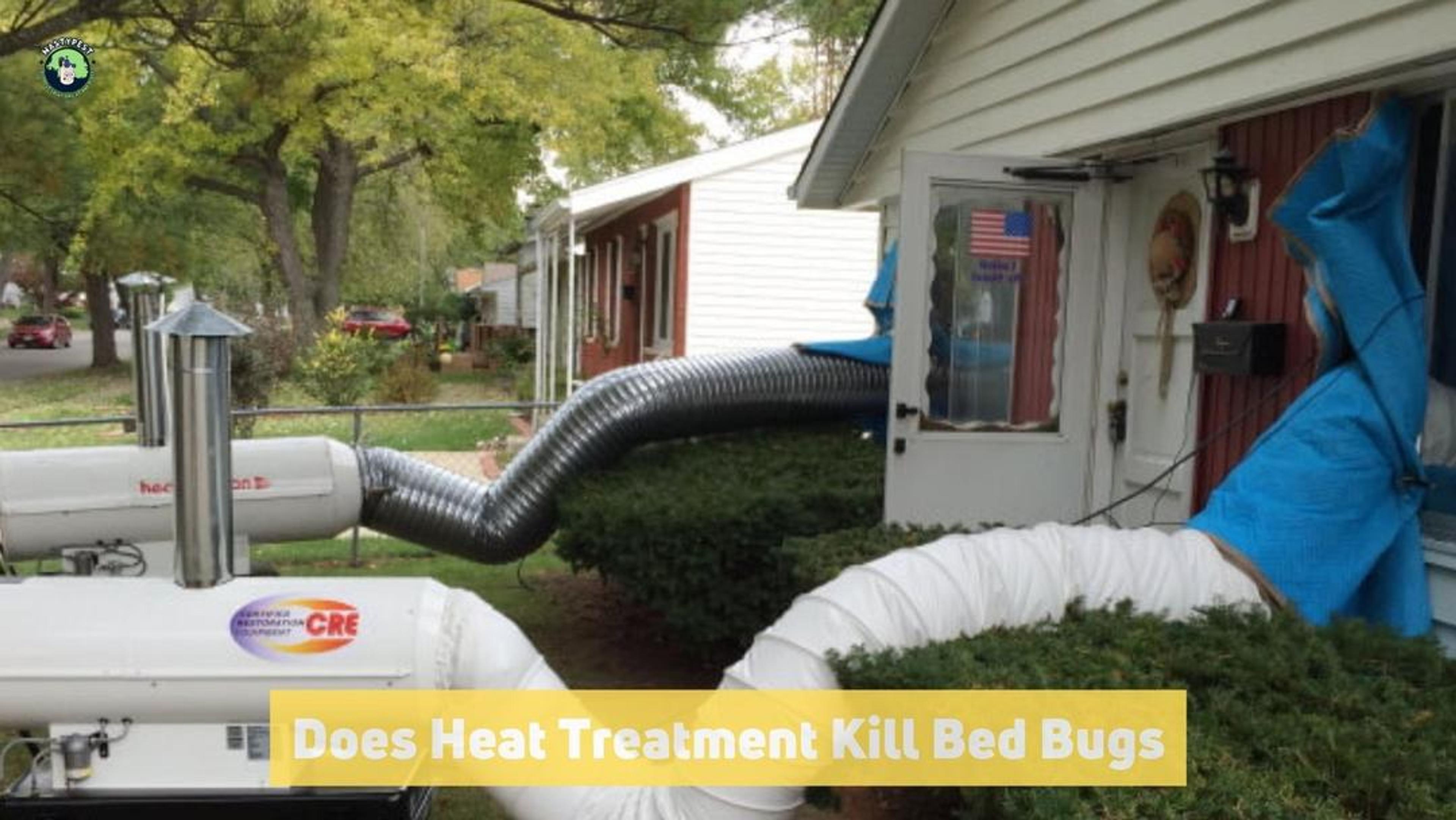 Does Heat Treatment kill Bed Bugs