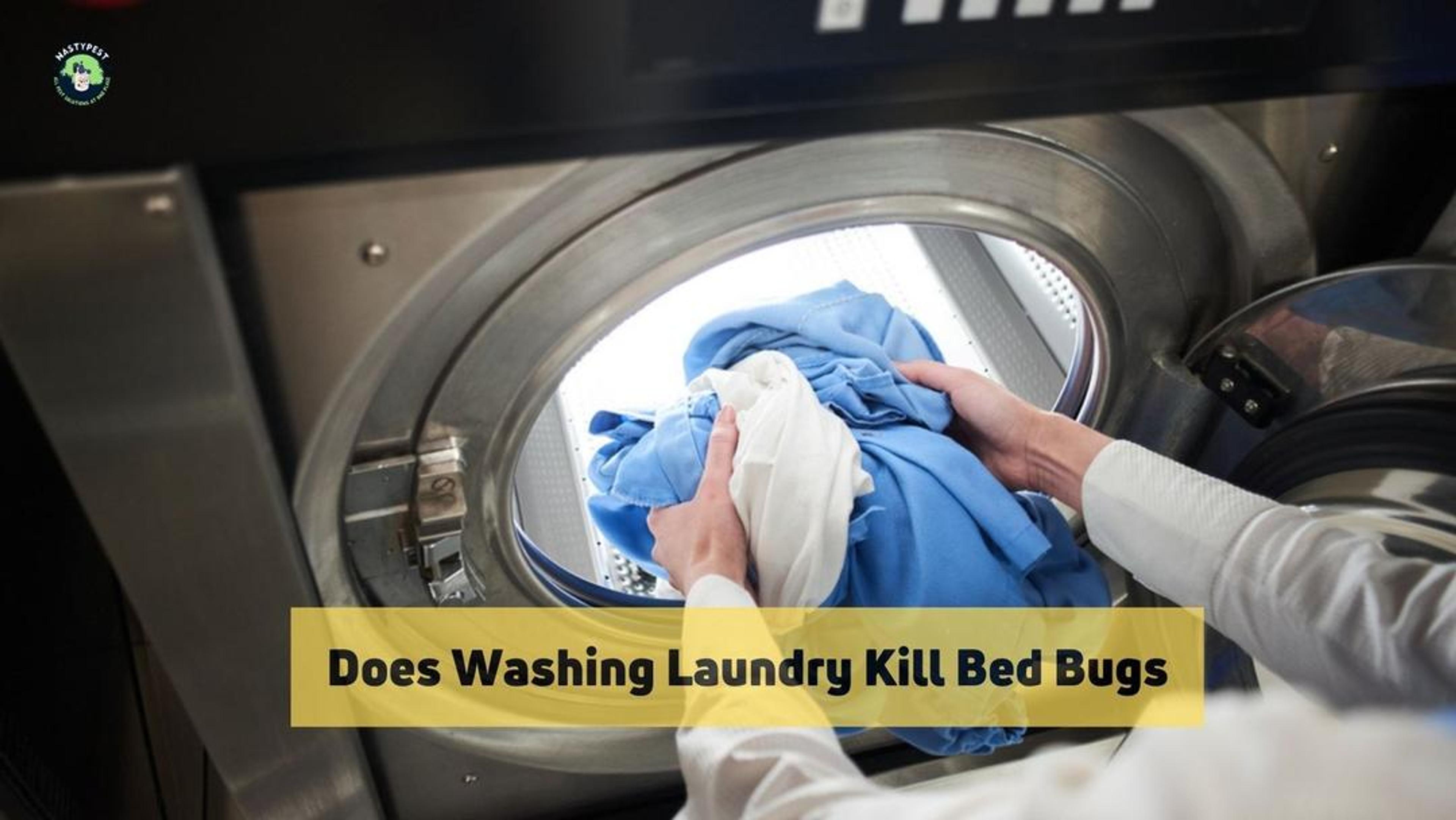 Does Washing Laundry Kill bed Bugs