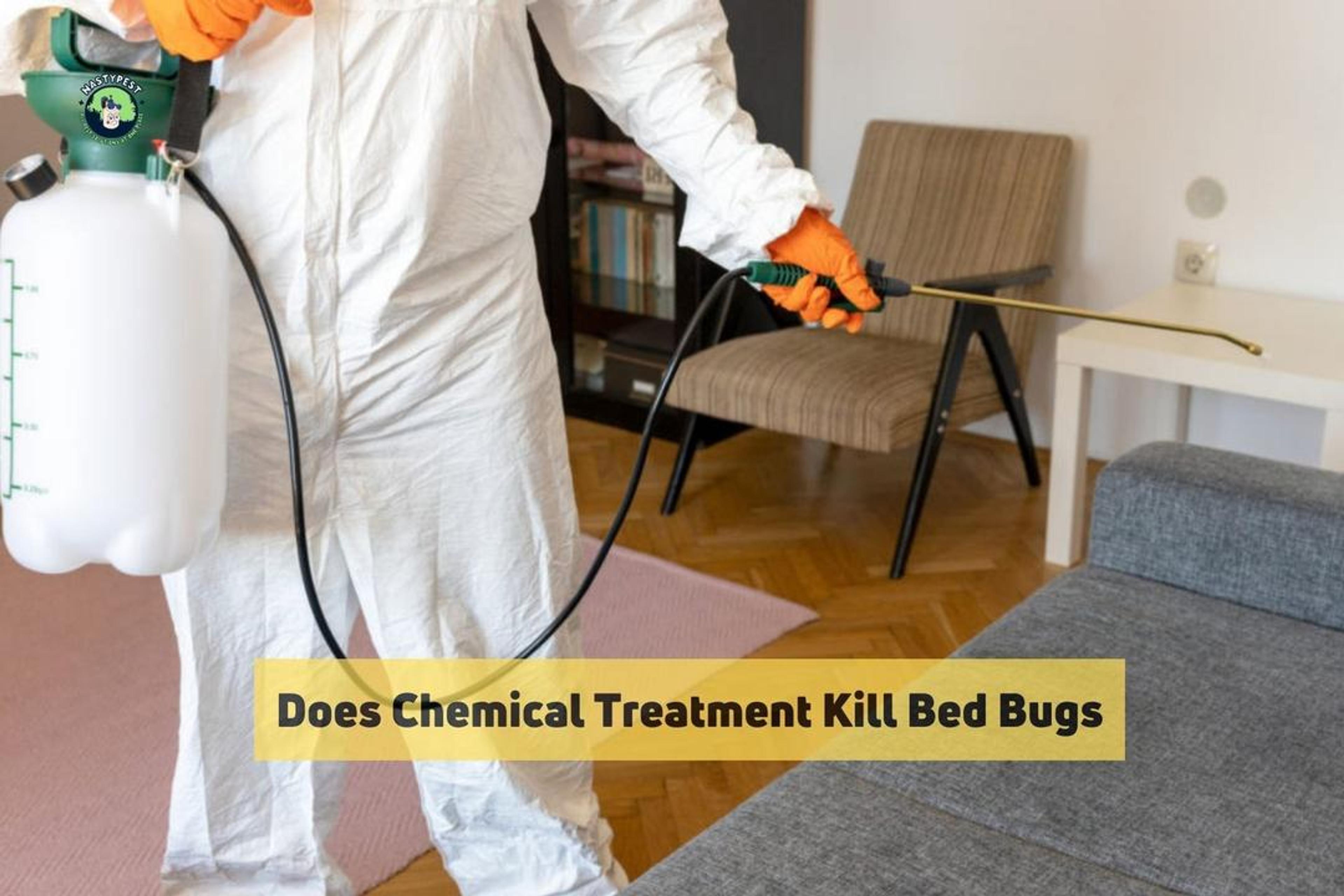 Does Chemical Treatment Kill Bed Bugs?