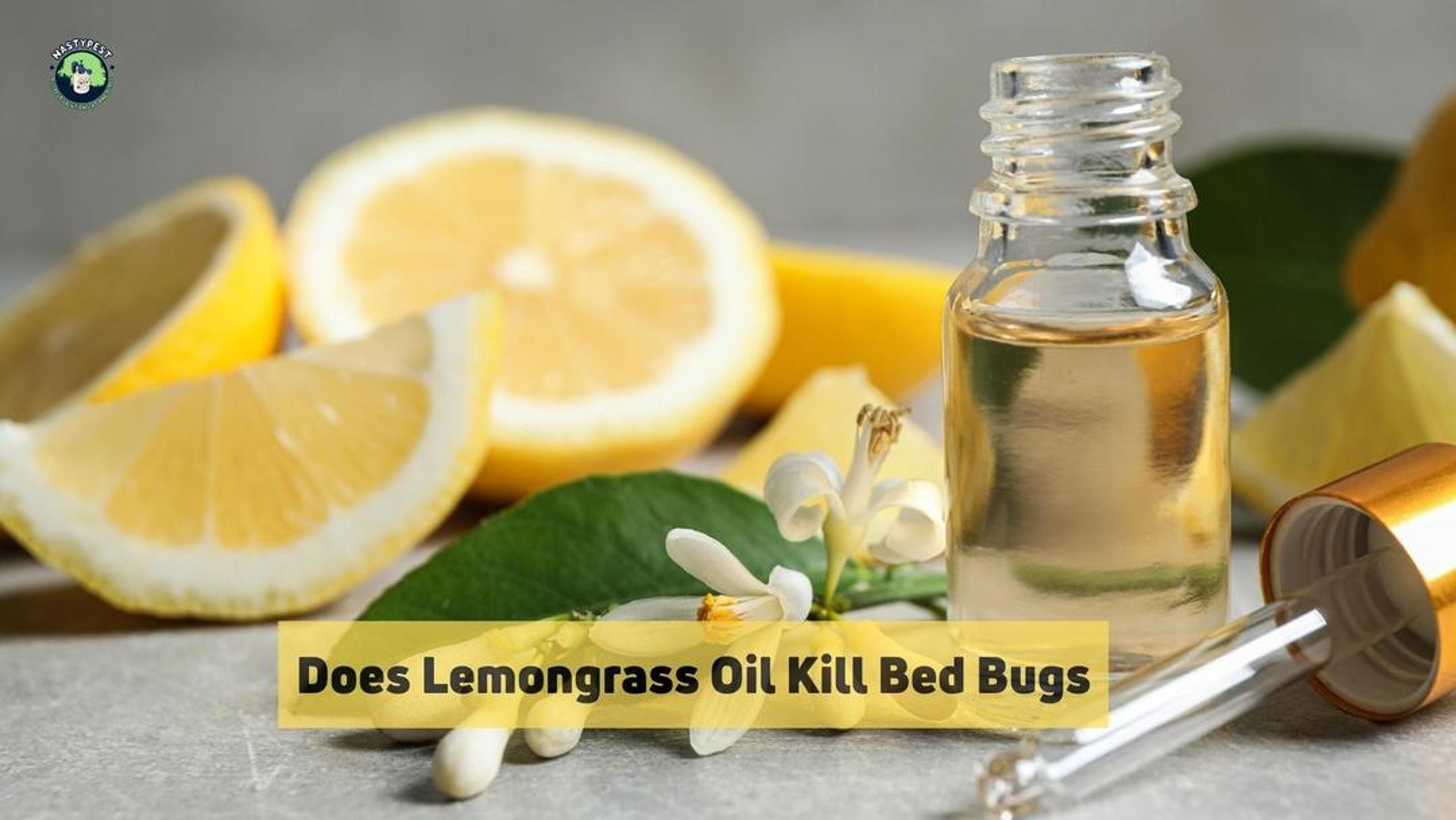 Does Lemongrass Oil Kill Bed Bugs