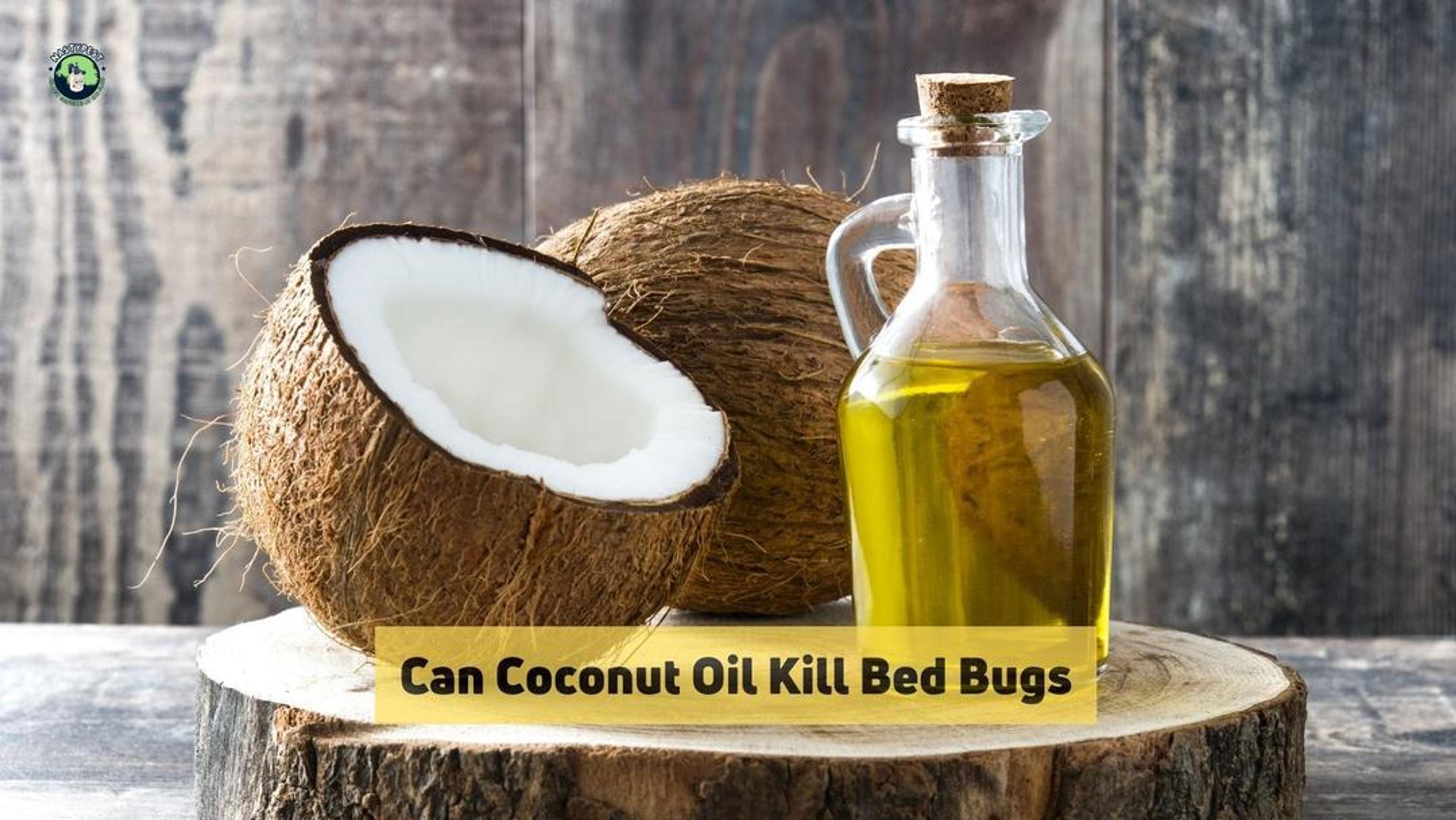 Can Coconut Oil Kill Bed Bugs