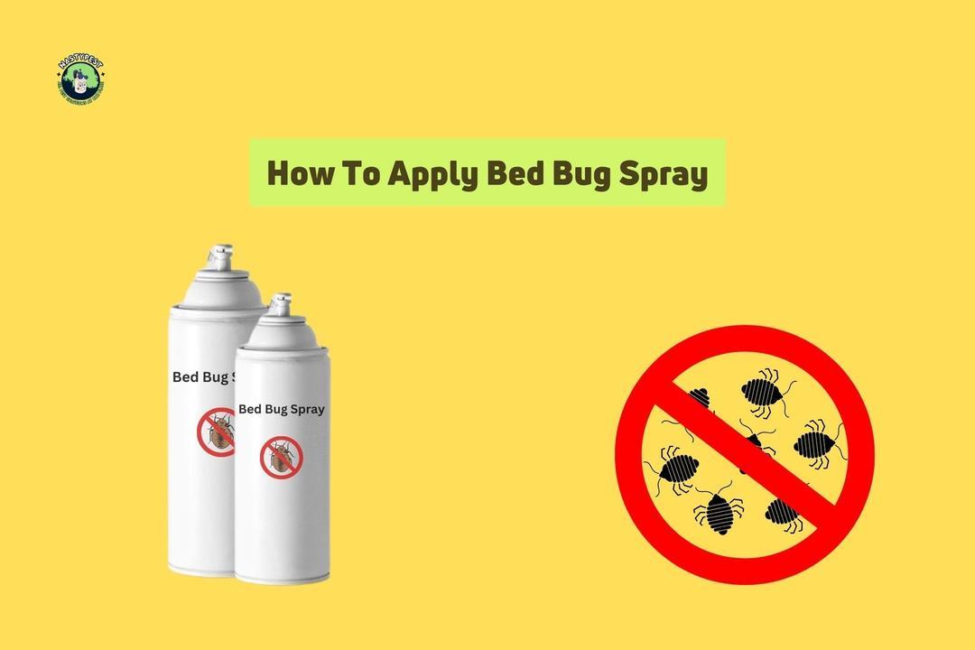 How To Apply Bed Bug Spray StepbyStep Guide