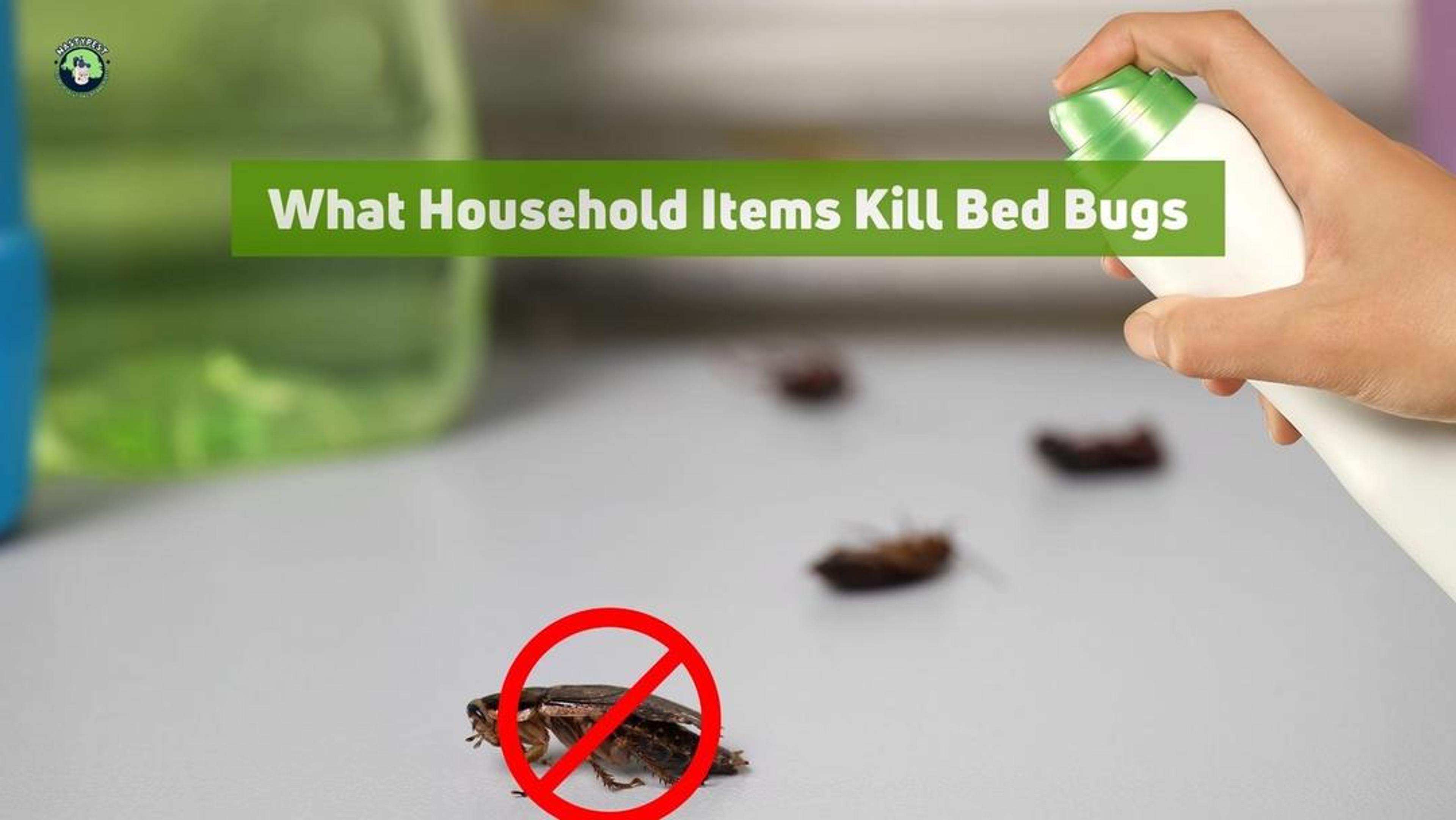 what household product kills bed bugs