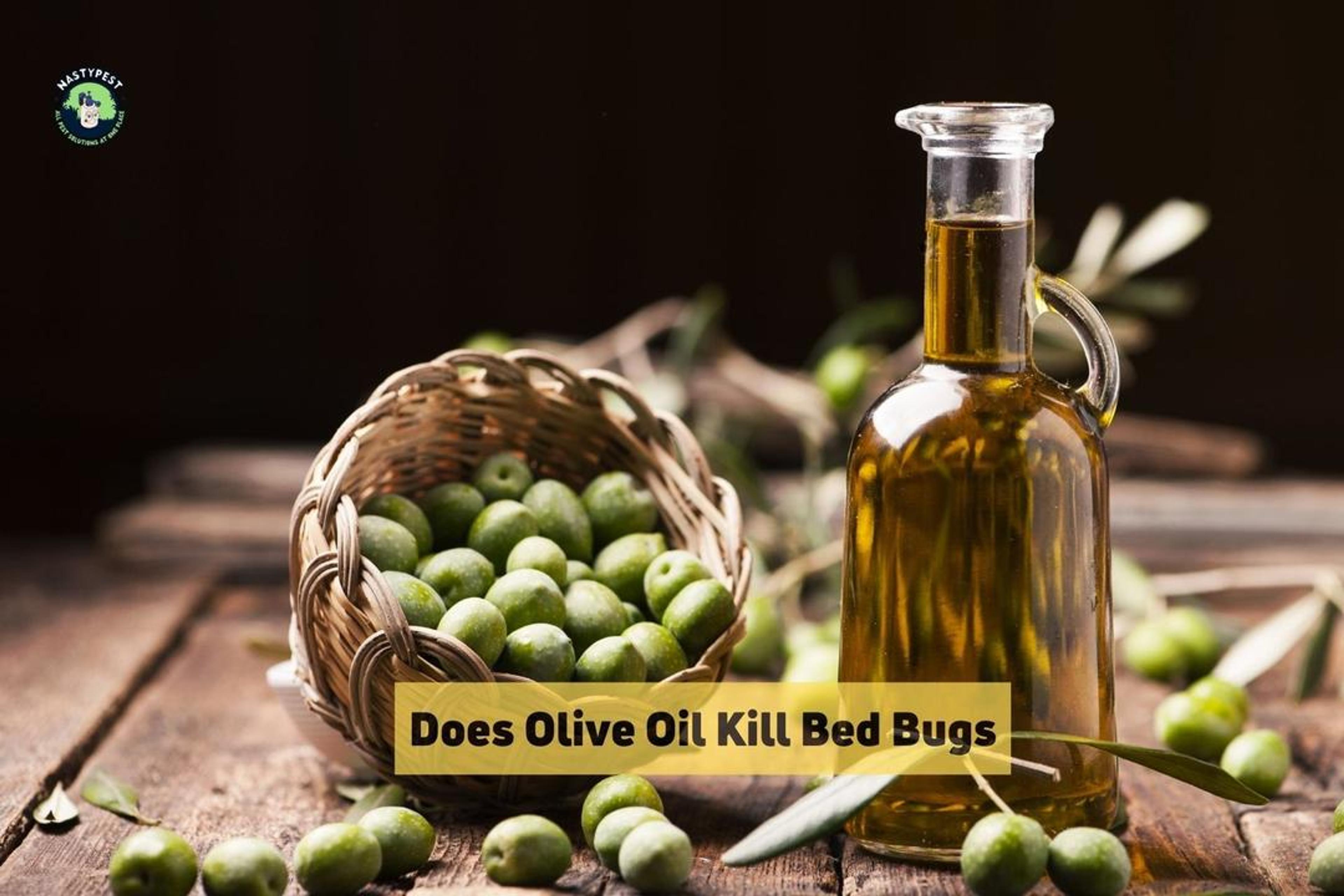 Does Olive Oil Kill Bed Bugs?