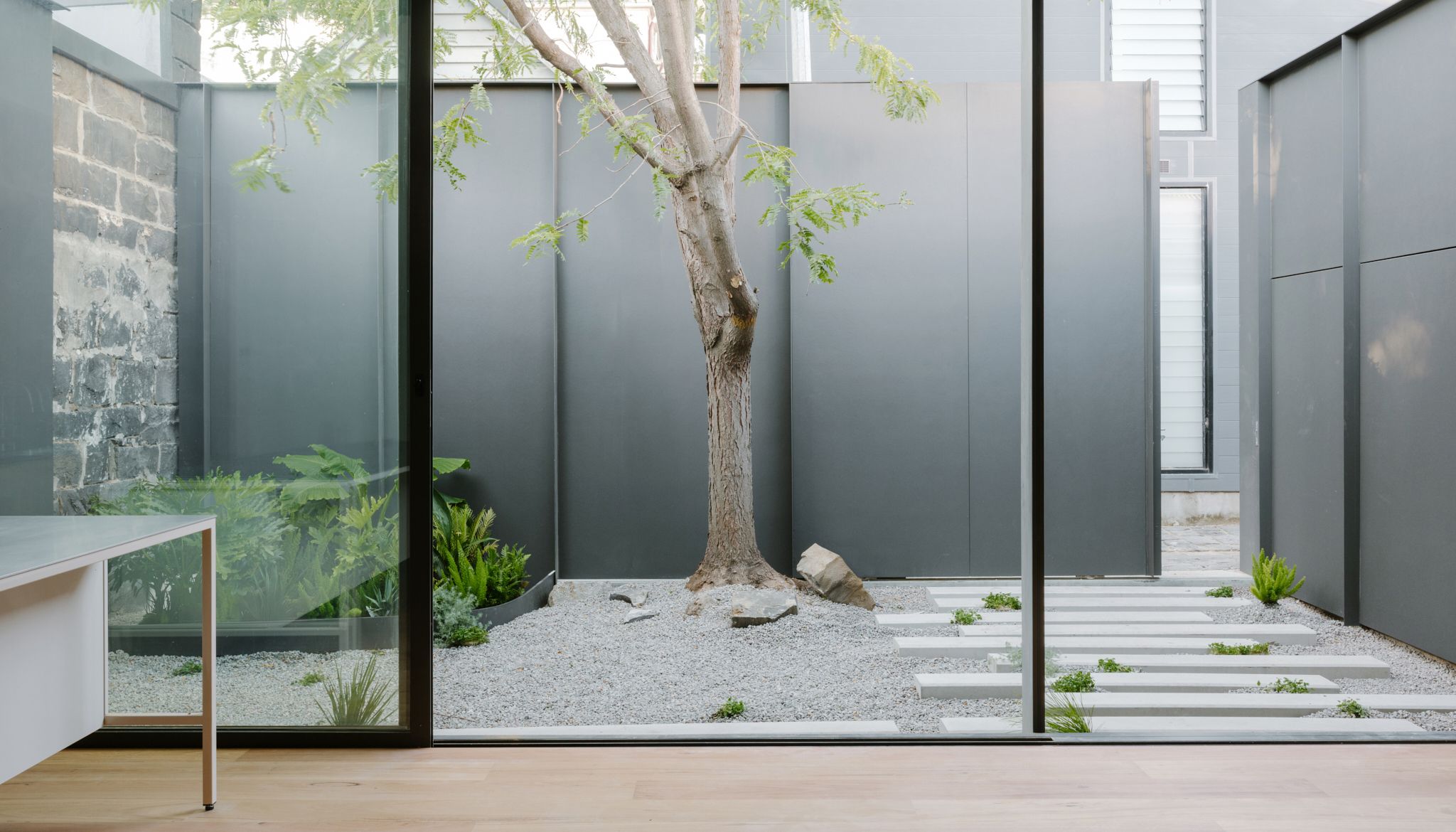 Internal courtyard at Bluestone House, Carlton — a retained tree and stepped paving seen through glazing, by Jada Homes and Ellul Architecture