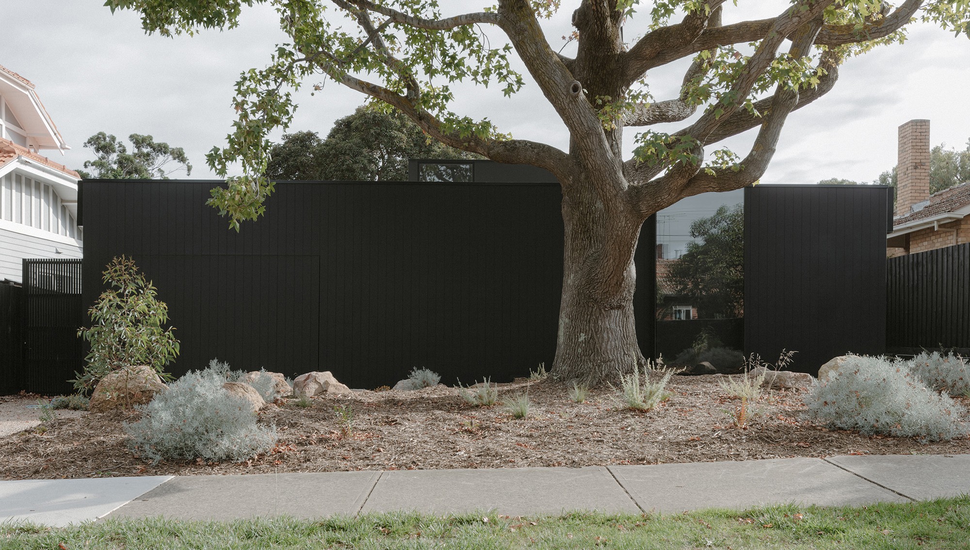 Sandringham House by Jada Homes and Ellul Architecture — black-clad pavilion home behind an established plane tree, with native garden planting, Bayside Melbourne