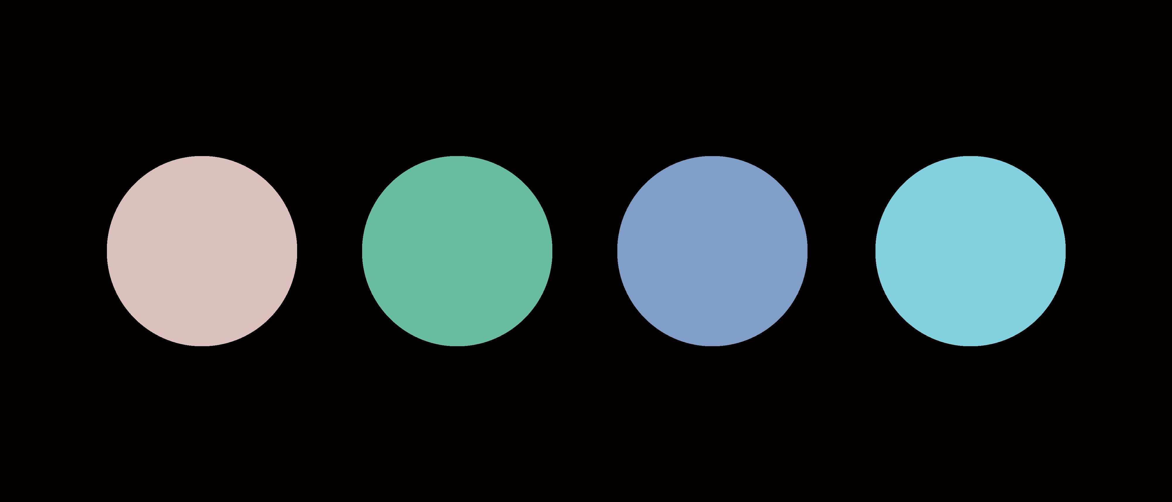 Sarah Bachman — Project - Image