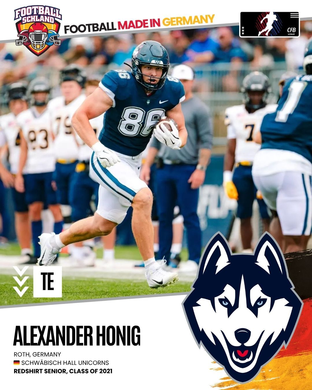 Alexander Honig Spielerkarte