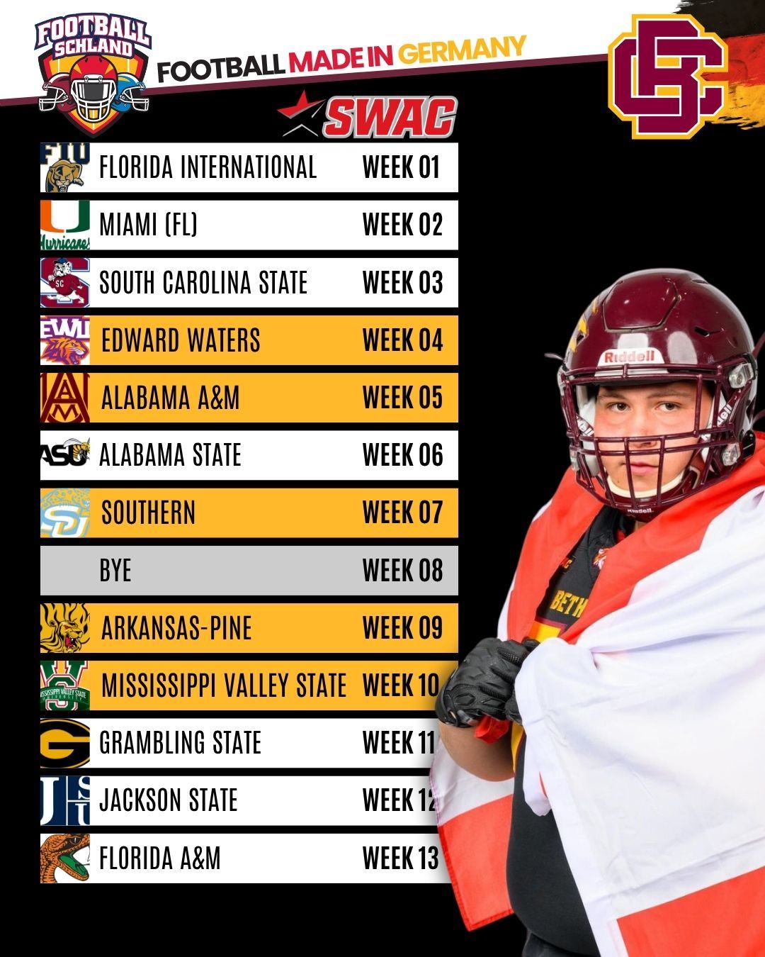 Amir Hodžić Spielerkarte