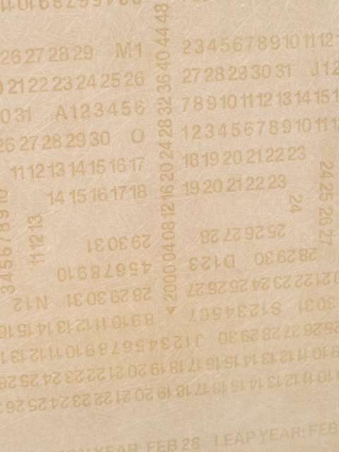 YELLOW PANELの画像3