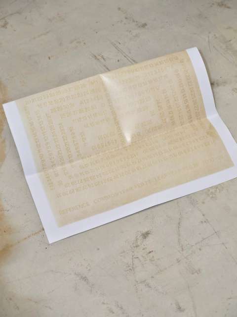 YELLOW PANELの画像2