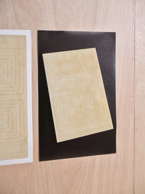 YELLOW PANELの画像5