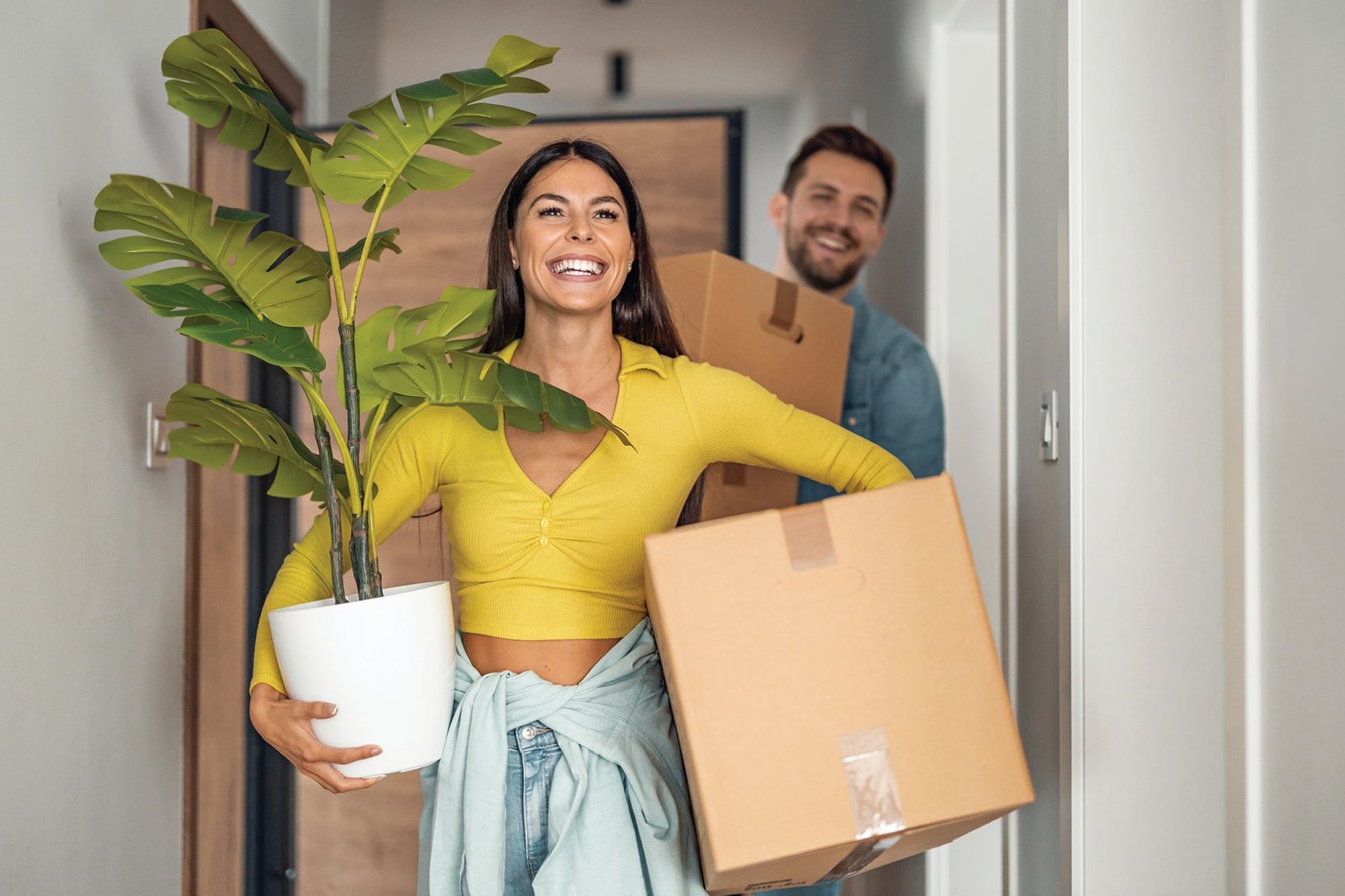 What is property settlement and how long does it take?
