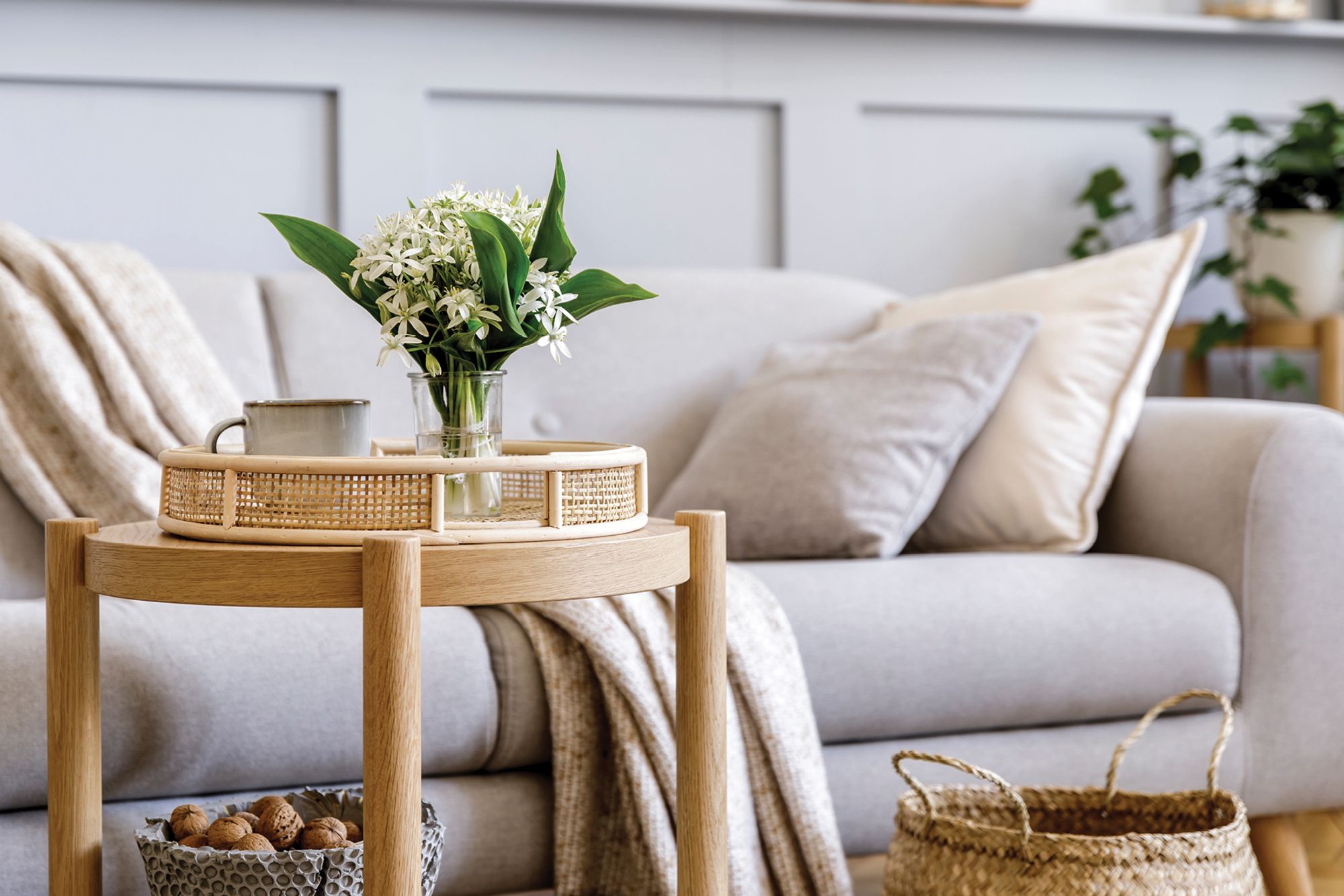 House styling for sale | DiJones