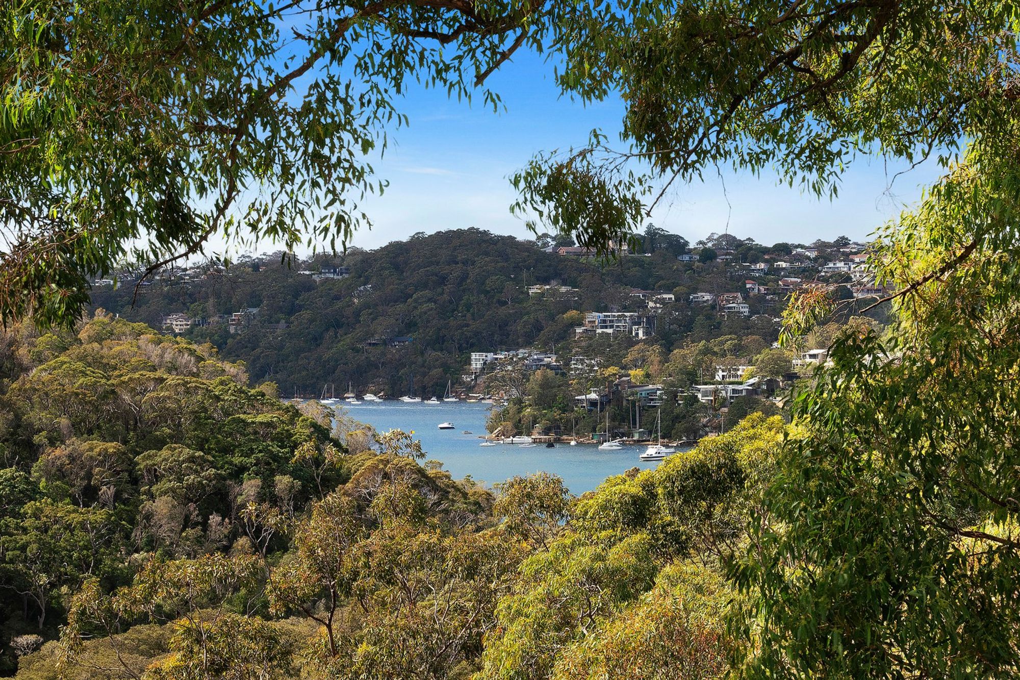 The property market continues to defy all expectations