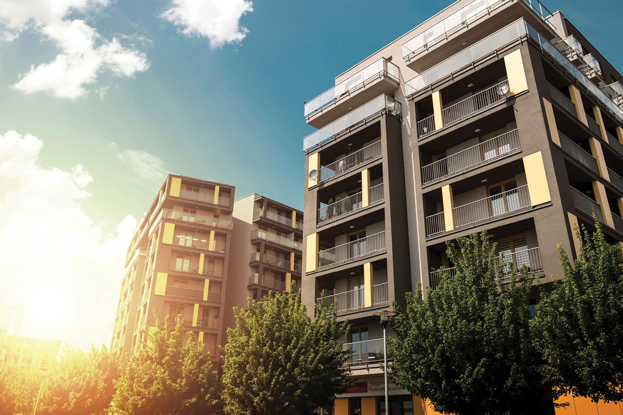 Off-the-Plan vs. Established Property: Which Is Right for You?