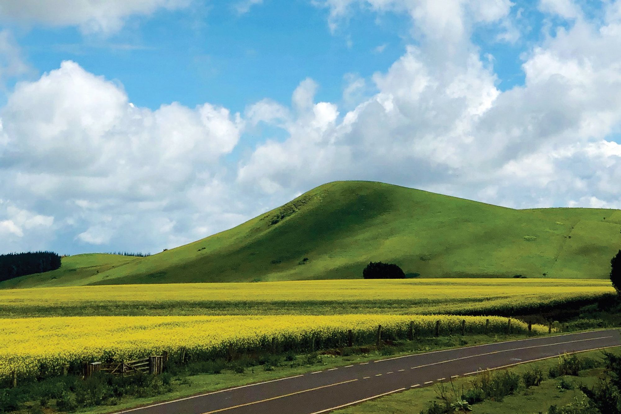 Six things to consider before signing an open listing