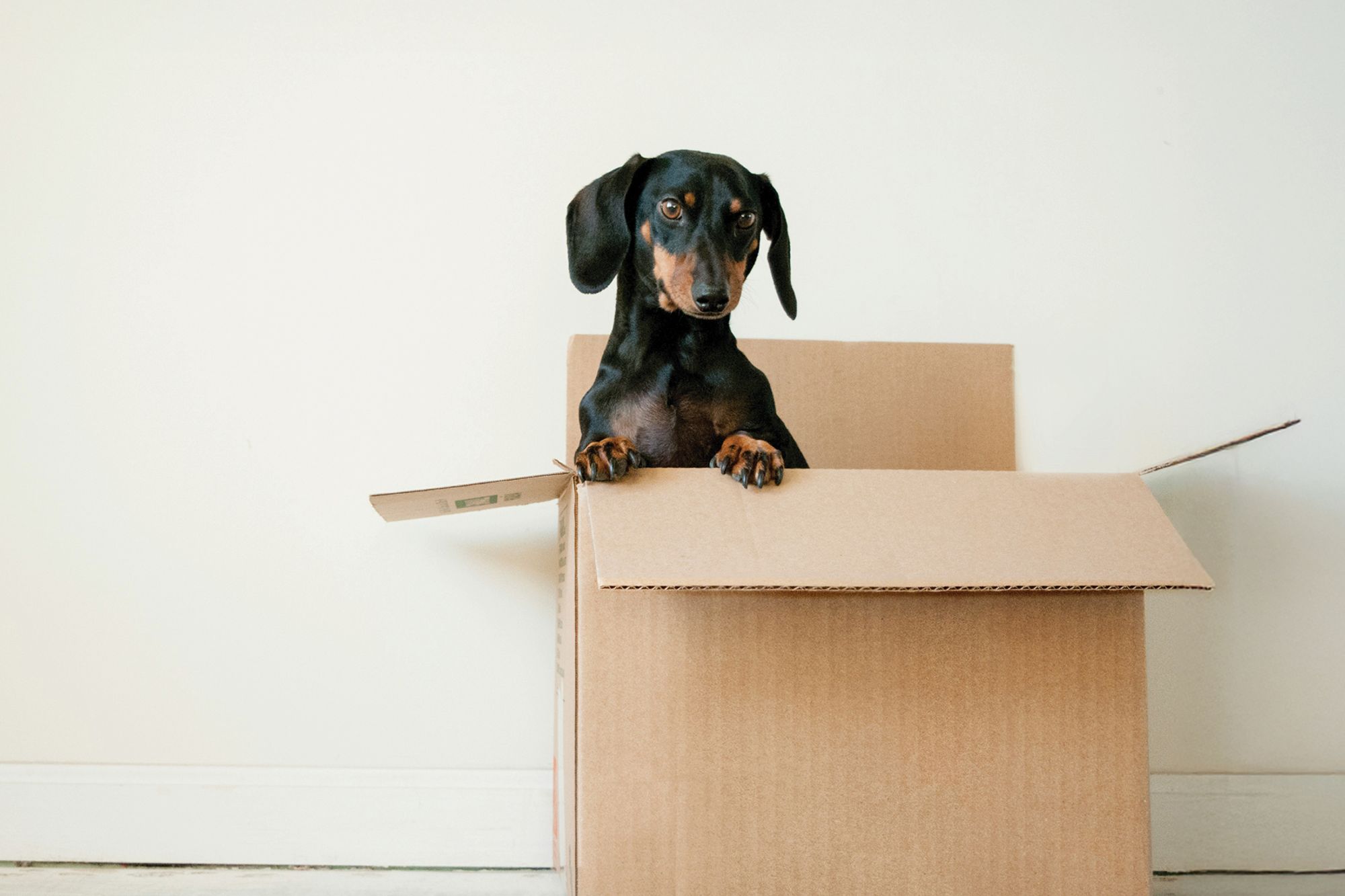 Buying your first home: six steps to help make it happen