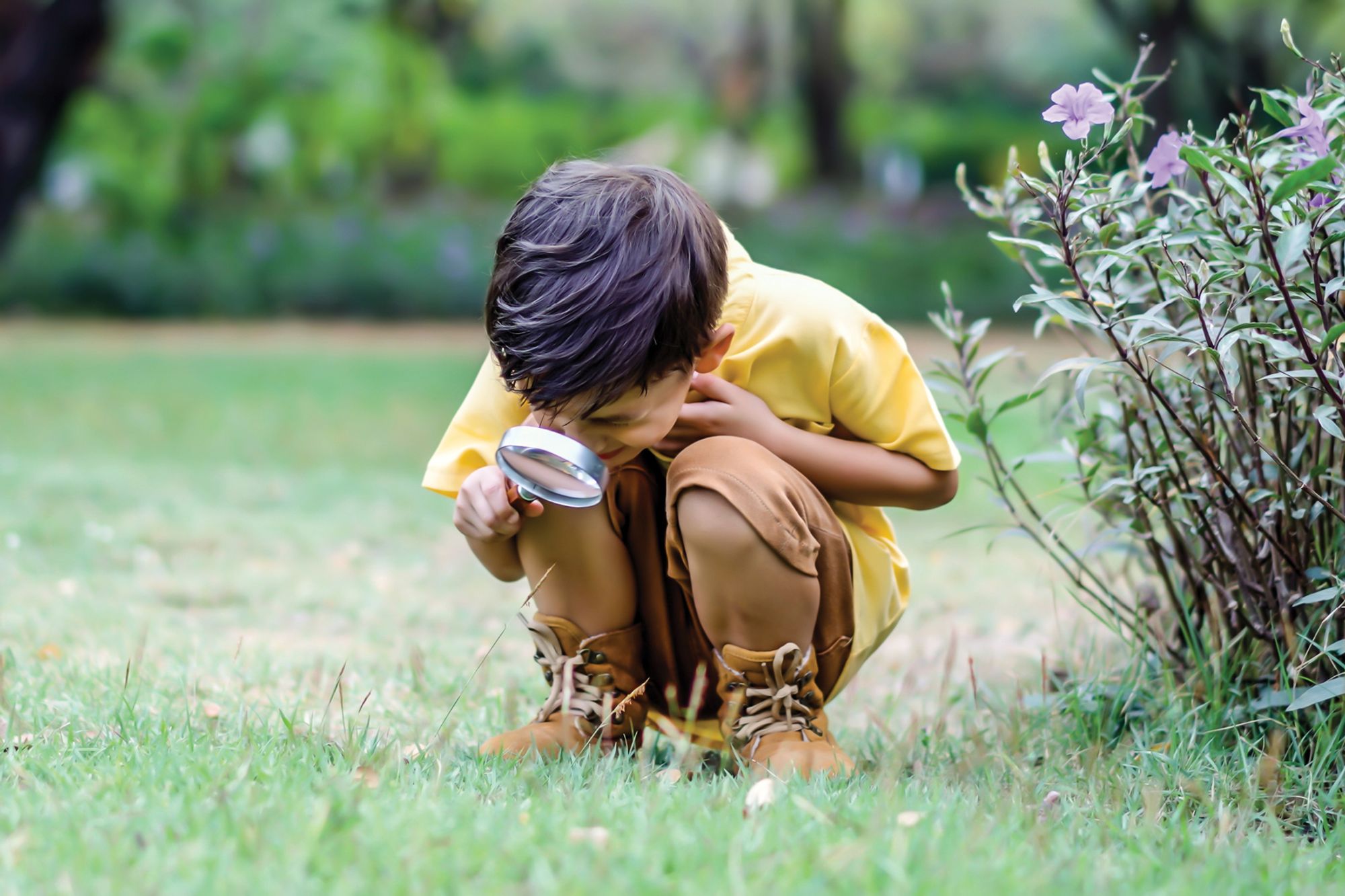 How much does a building inspection report cost?