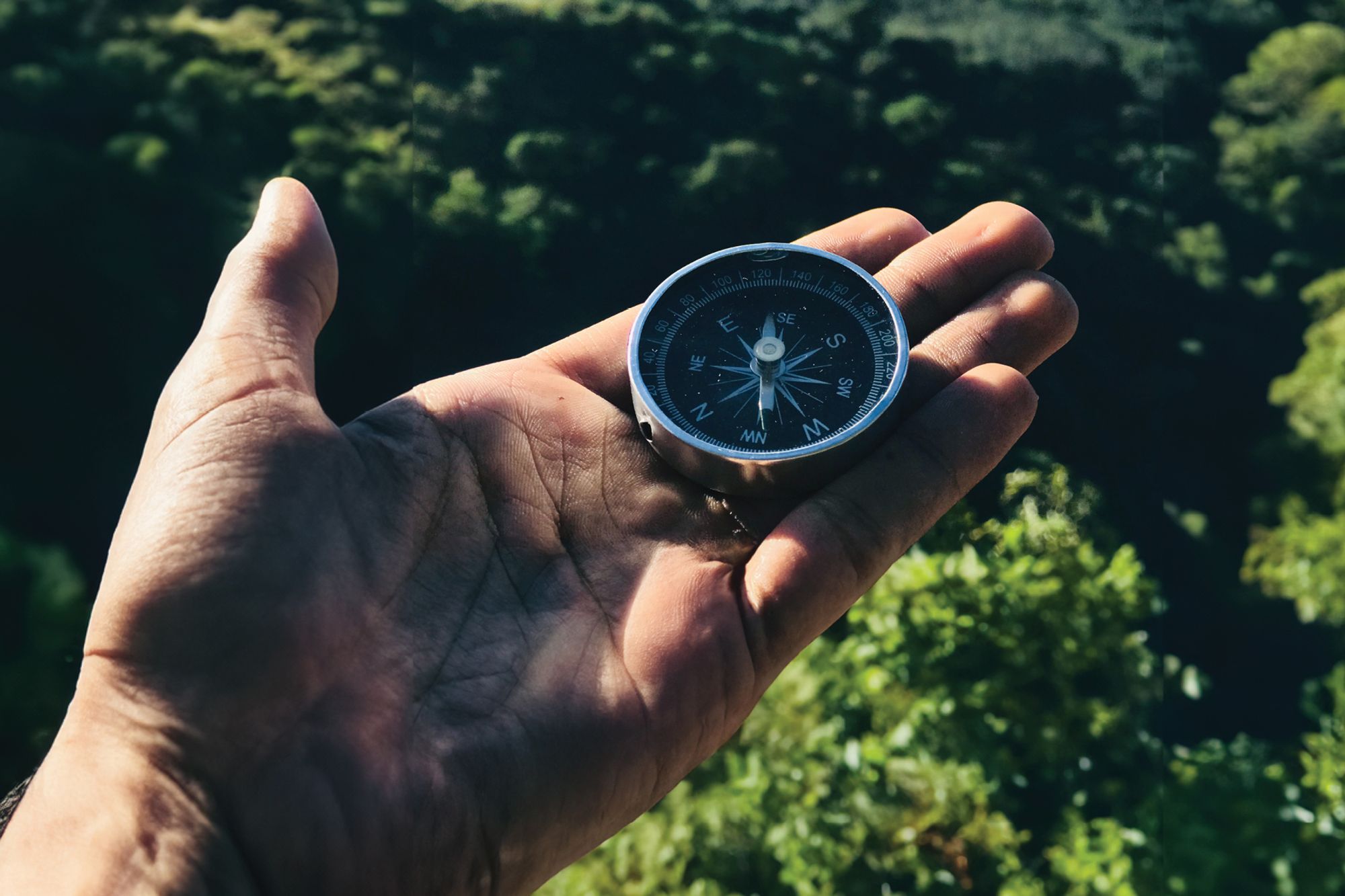 Navigating the evolving Australian rental landscape