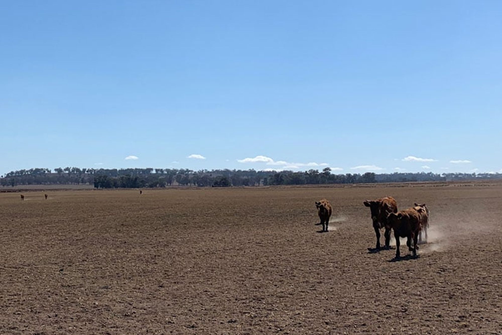 Drought Drive