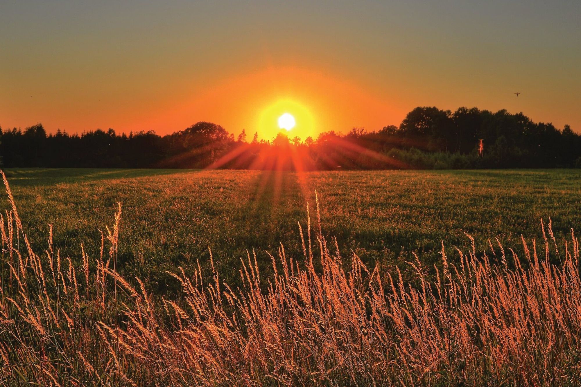 2022 property market wrap up and what lies ahead in 2023