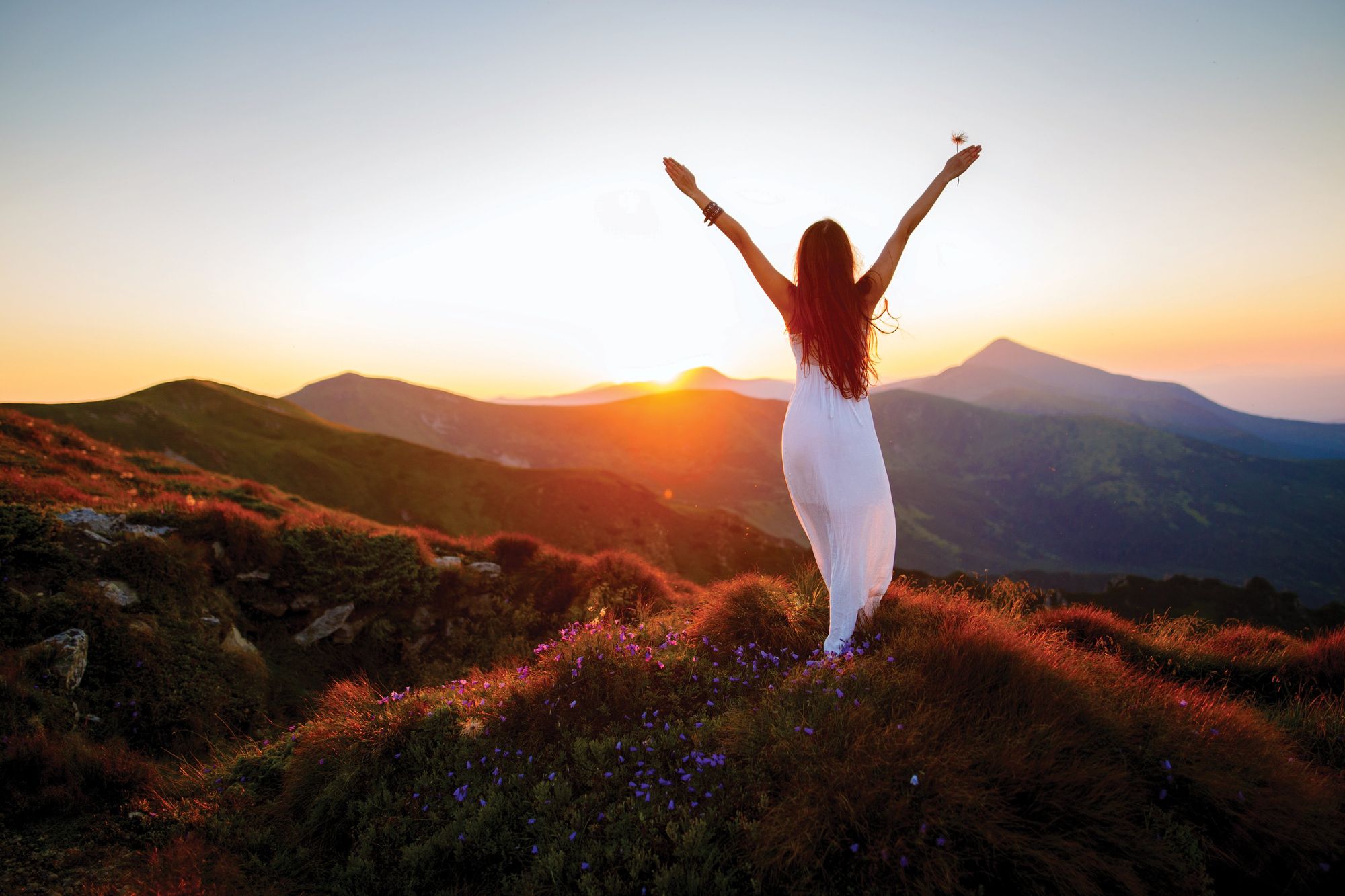 Guide to mortgage discharge fees in Australia