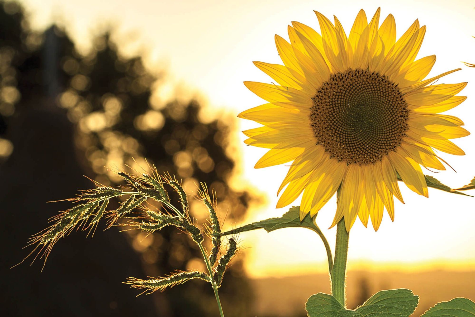8 jobs to do this summer to maximise your property investment in 2023