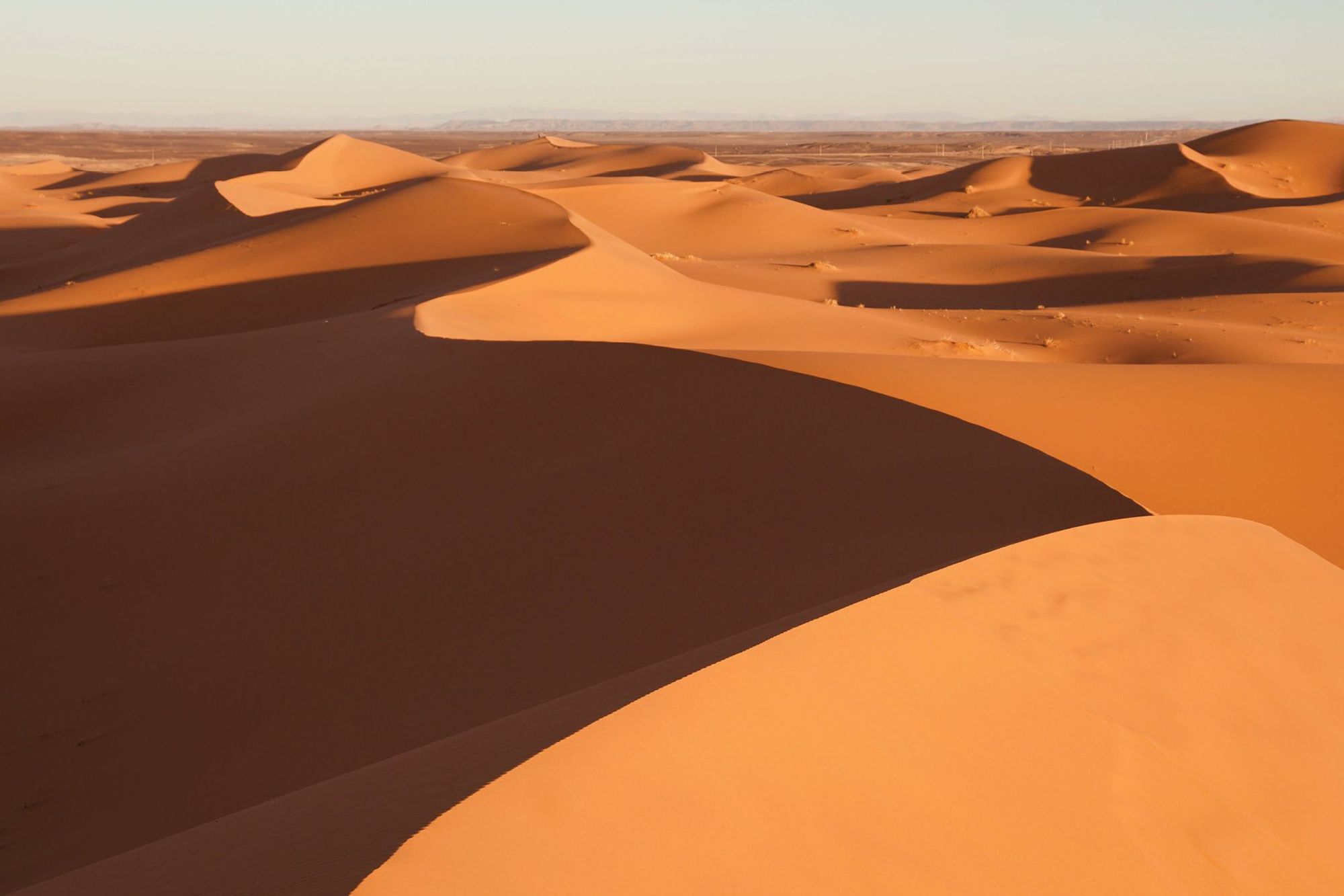 Exploring the dynamic landscape of NSW’s property market in 2024