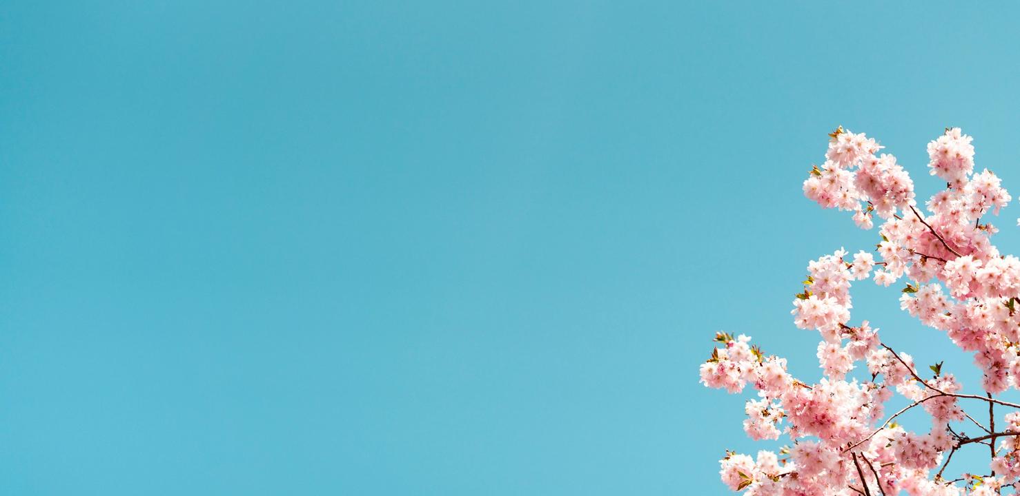 DiJones investment exclusive preview