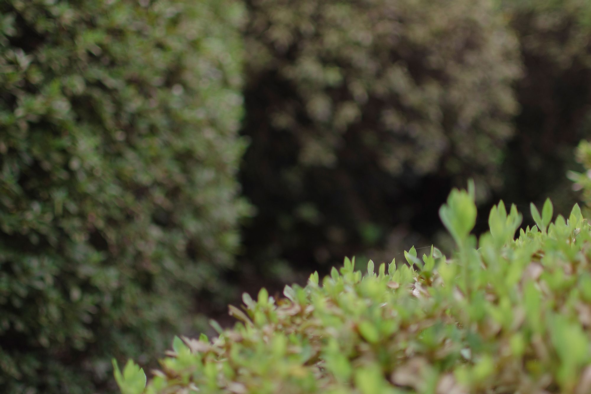 Discover a suburb: Killara