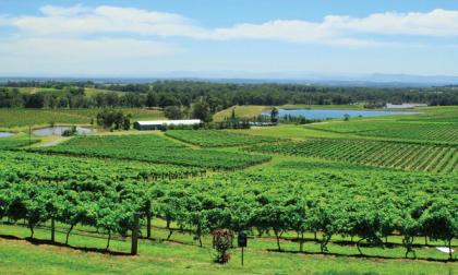 Exploring the Hunter Valley real estate market 