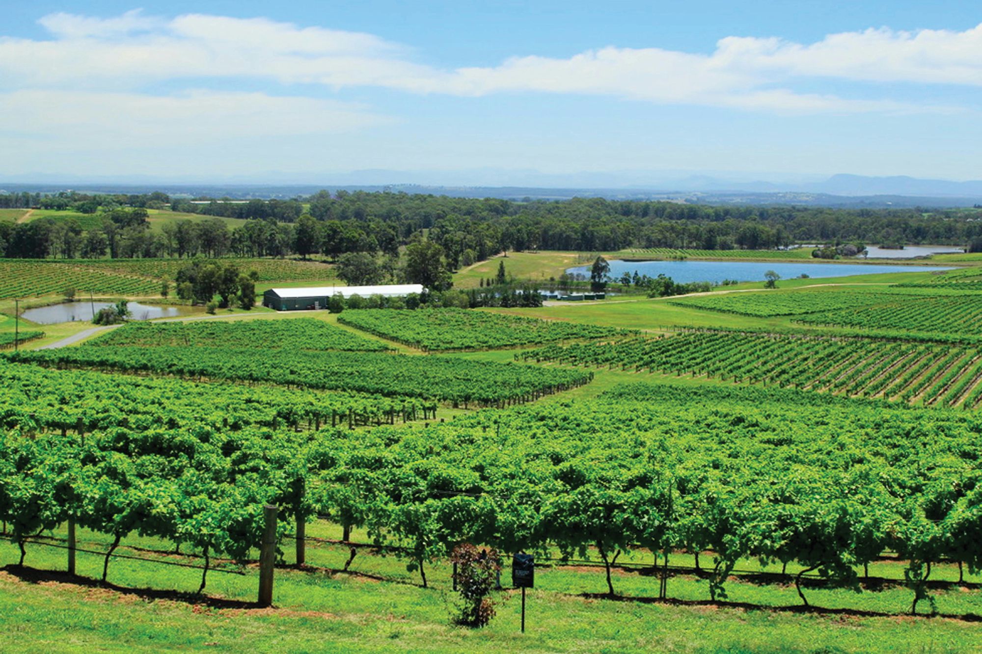 Exploring the Hunter Valley real estate market