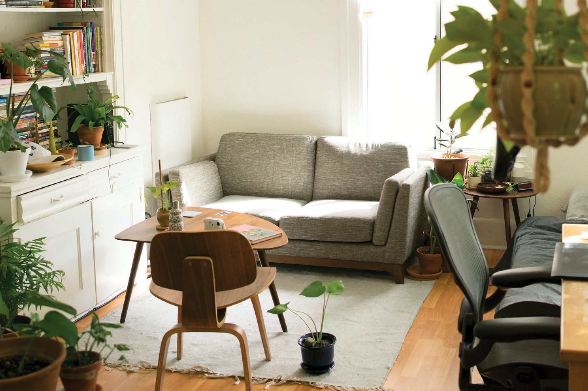 All about rental appraisals: what they are and why you should have one