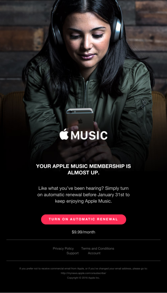 Example-Apple Music