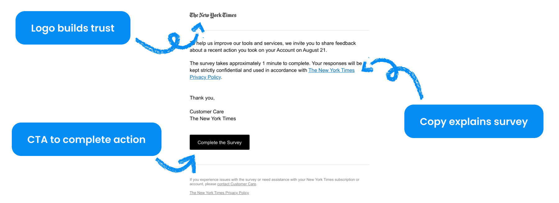 Anatomy-The New York Times