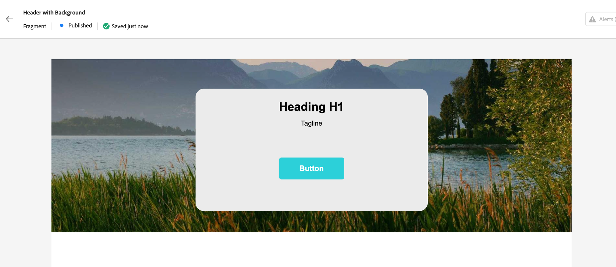 Full-width Fragment in Asset