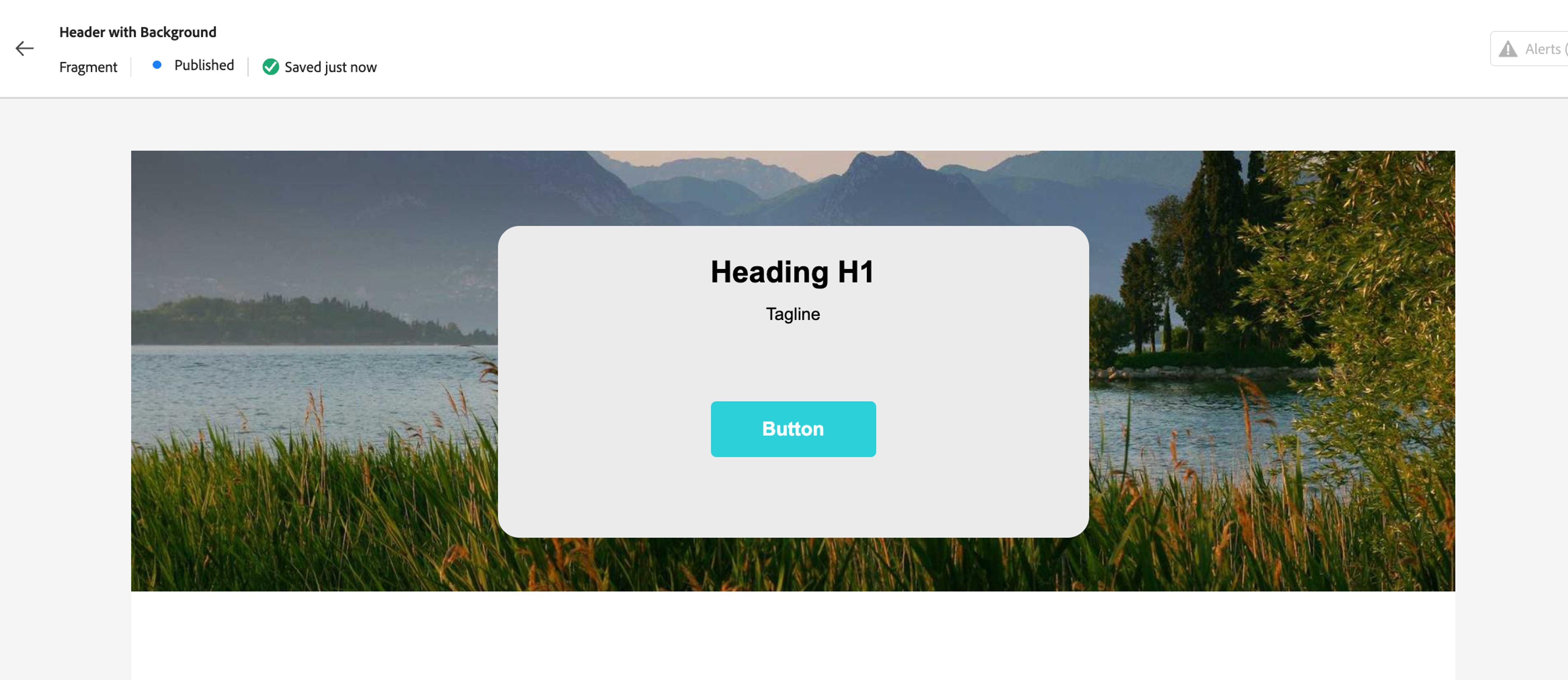 Full-width Fragment in Asset