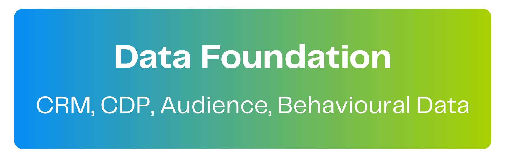 Layer 1: Data foundation