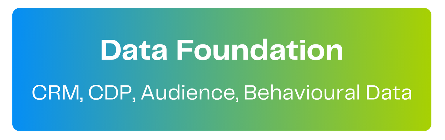 Layer 1: Data foundation