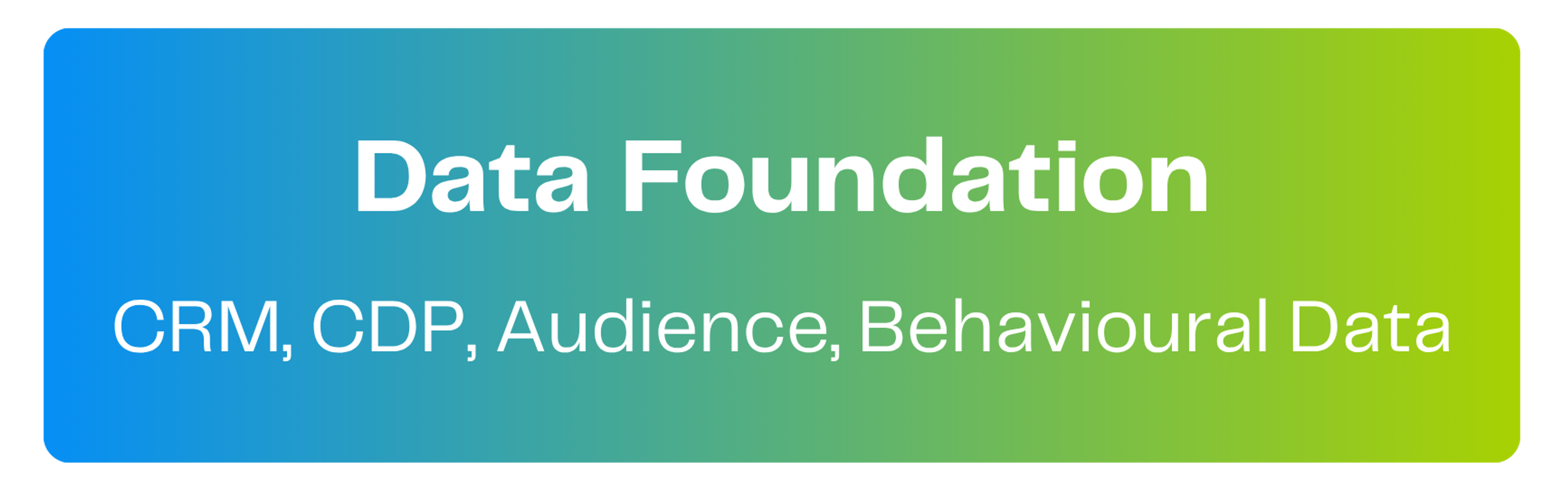Layer 1: Data foundation