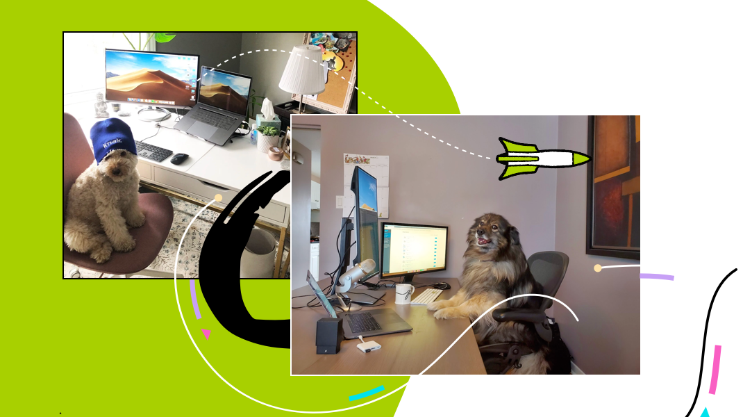 How Knak Works From Home