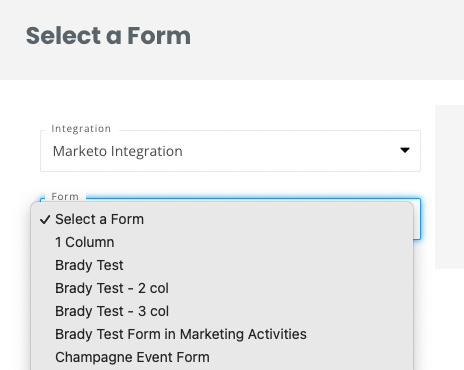 Using Marketo forms in a landing page builder