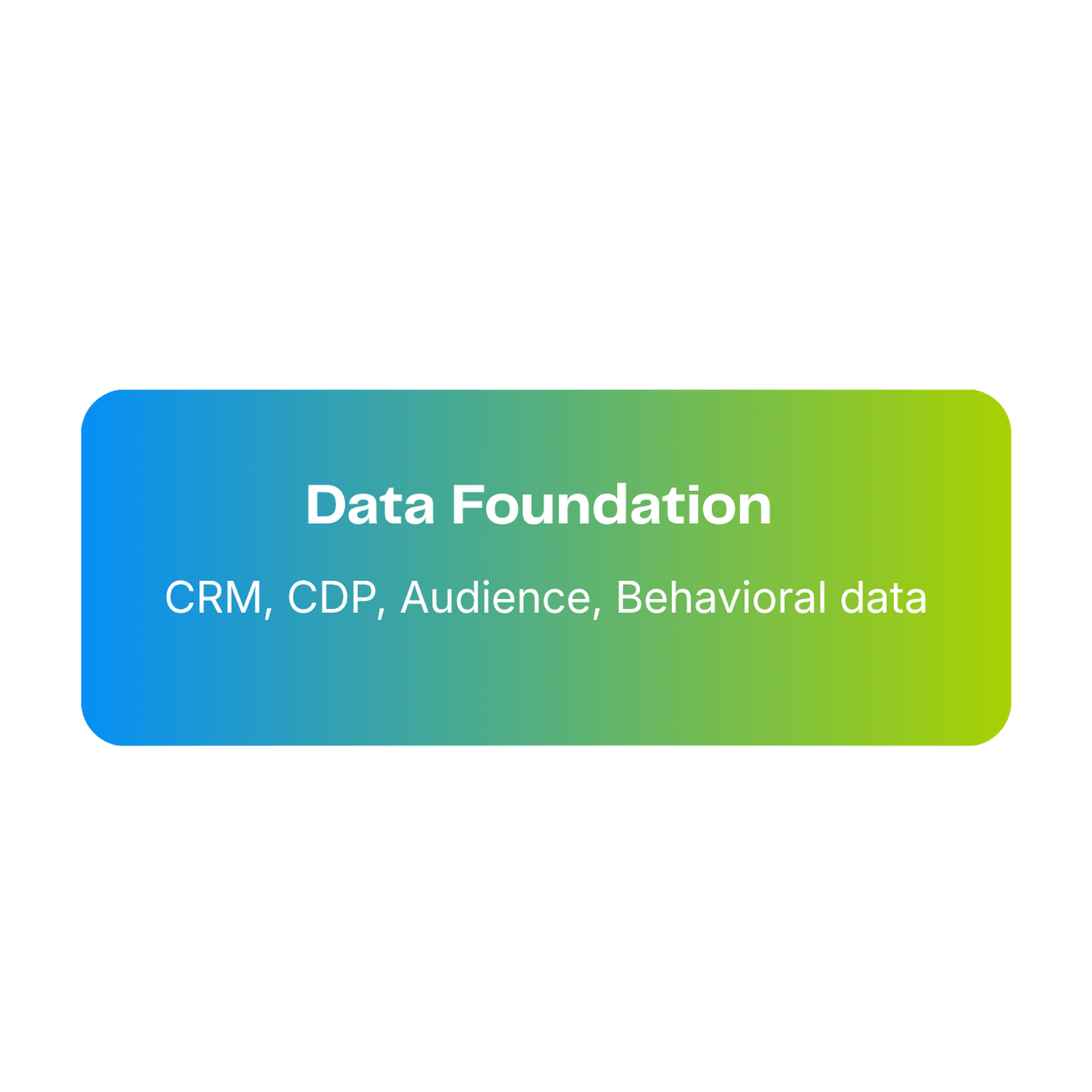 Layer 1: Data foundation