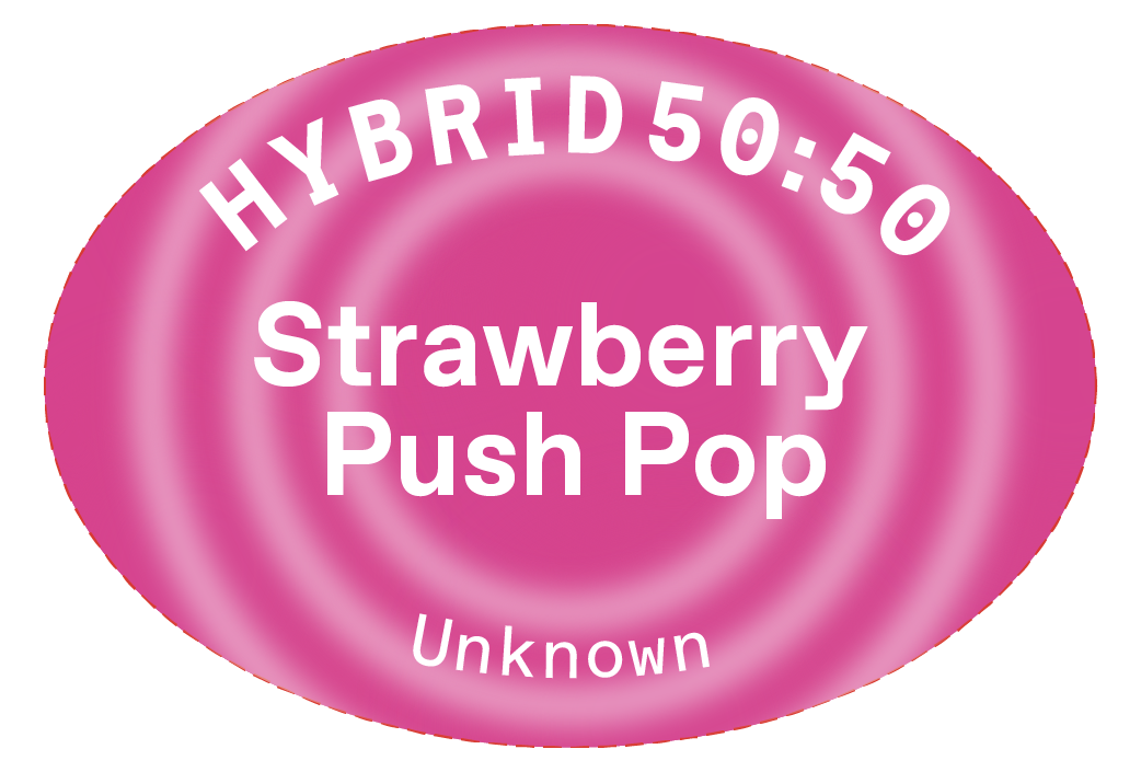 strawberry-push-pop-flower-torus-culture