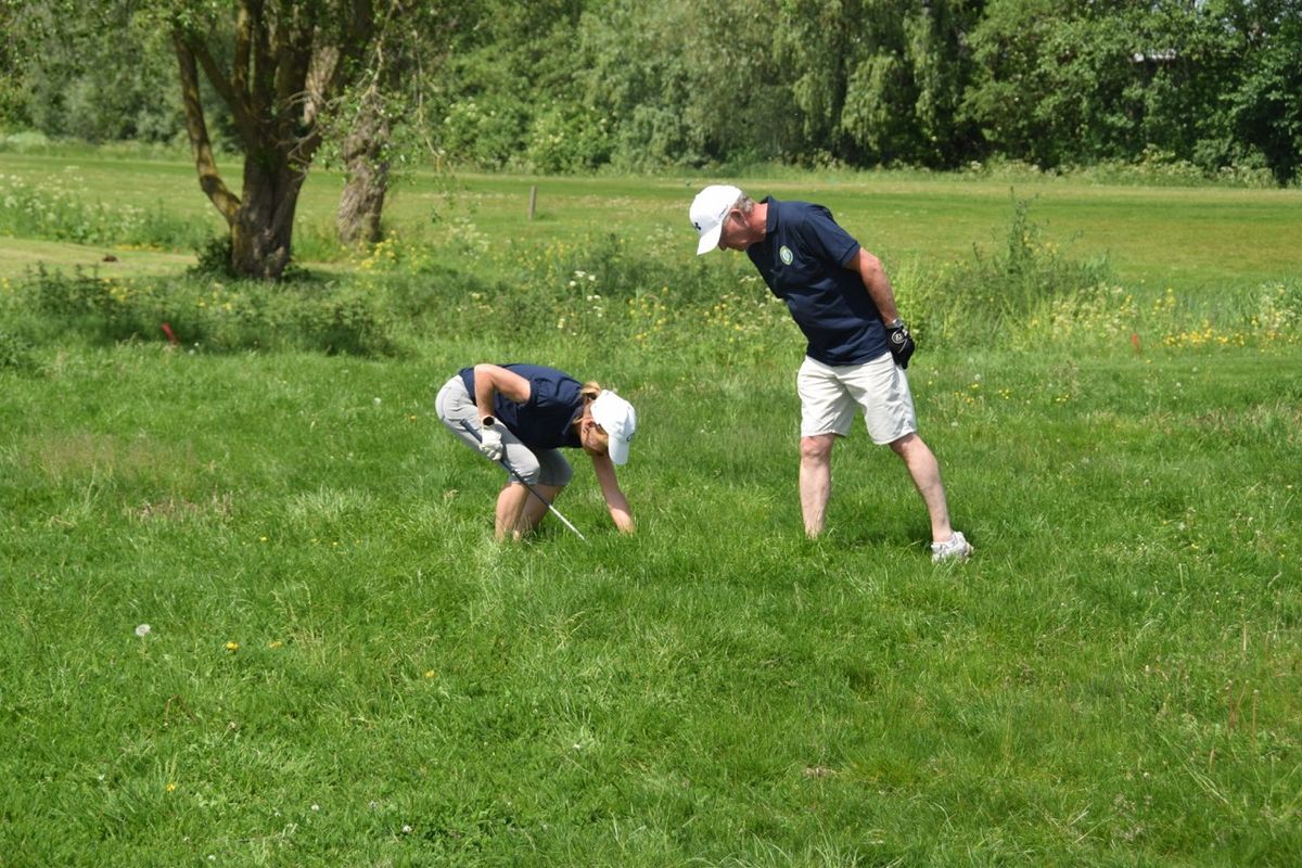 Plaatje
