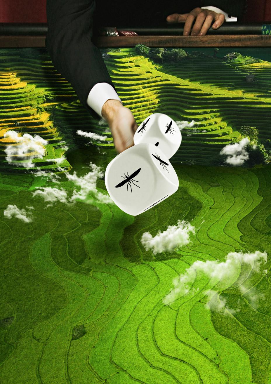 Hand rolling a pair of dice with mosquitoes on the faces against a backdrop of green rice fields